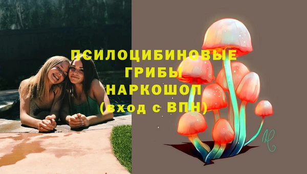 метадон Алексеевка