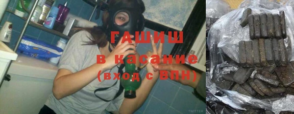 индика Алексин