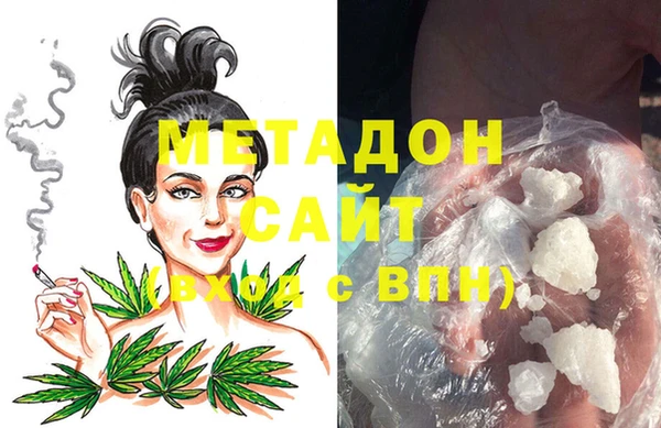 индика Алексин