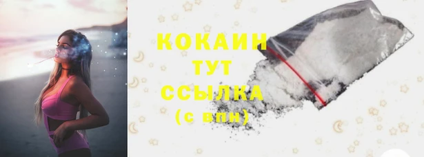 соль курить ск Алзамай